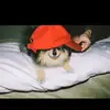 emmy - @blake_silas_tate_12 - TikTok