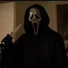 Silas Whitehead - @silas.whitehead0 - TikTok