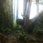 Silas - @silaswilson - Instagram