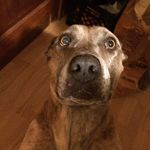 Silas Wilson - @silas.wilson.7796 - Instagram