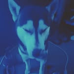 silas wilson - @silaswilson7372 - Instagram