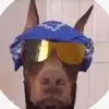 SilasWilson19 - @silaswilson19 - TikTok