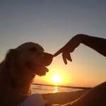 Silvanapuccio - @silvanapuccio.60 - Instagram