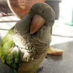 Silvana Rubio - @silvana.rubio.12 - Instagram