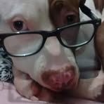 Silvano Barba - Facebook