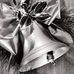 Silver Bell - Facebook
