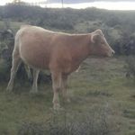 silverio moreno - @silv9989 - Instagram