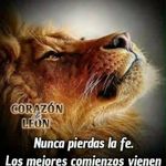 Silverio Puente Torres - @silveriopuente - Instagram