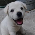 SILVERIO PÉREZ SOLIS - @silverioperezsolis - Instagram