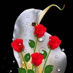 Silvester Johnson - @silvesterjohnson2 - Instagram