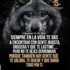 luisa rivas - @silvestre_rivas - TikTok