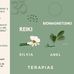 Reiki - Bionagenetismo. Silvia y Abel - Facebook