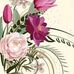 Silvia Abraham - Facebook