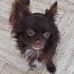 Silvia Affeldt - Facebook