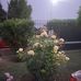 Silvia Aguilera - Facebook