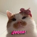 Silvia Ahumada - Facebook