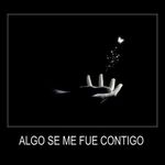 Silvia Alanis - @alanis6837 - Instagram