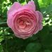 Silvia Alaniz - Facebook