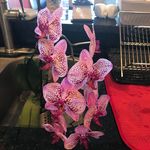 Silvia Albertini - @travelopolis.us - Instagram