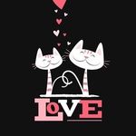 Silvia Albertini - @12felinoscat - Instagram