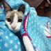 Silvia Alegre - Facebook
