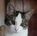 Silvia Aleman - Facebook