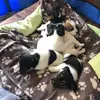Silvia Altmann - @silviaaltmann1 - TikTok