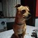 Silvia Amato - Facebook