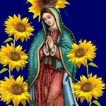 Silvia Ambriz Sanches - @ambrizsanches - Instagram