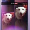 Ananya_Bethi - @ssilvia_ambrose - TikTok