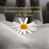 silviaangeletti11 - @silviangeletti11 - TikTok