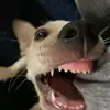 kenso_tiktok - @silviaangulotenor - TikTok