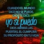 Silvia Arce - @silvia.arce.7549 - Instagram