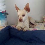Silvia Alvarez Arreguin - @silvi832020 - Instagram