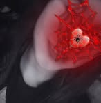 Silvia Ayala - Facebook