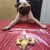 Silvia Ayon - @silvia.ayon62 - TikTok