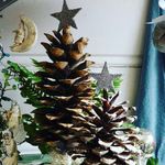Silvia Baccarini - @silviabaccarini75 - Instagram
