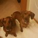 Silvia Baird - Facebook