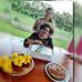 Silvia Balboa - Facebook