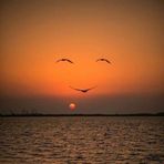 Silvia Ball - Facebook