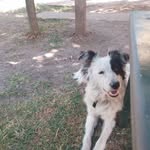 Silvia Ballesteros - @silvia.ballesteros.5030 - Instagram