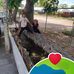 Silvia Ballesteros - Facebook