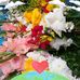 Silvia Ballesteros - Facebook