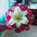 Silvia Baltazar - Facebook