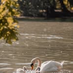 Silvia Baptista - Facebook