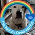 Sylvia Barlow - Facebook