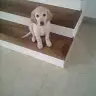 Silvia Baron - @silvia.ba74 - TikTok