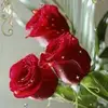Silvia Barrera - @silvia.barrera35 - TikTok