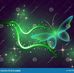 Silvia Barron - Facebook
