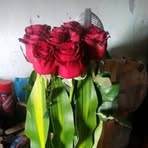 Silvia Becerra - Facebook